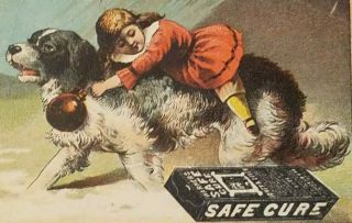 Victorian Girl Riding St Bernard Dog Safe Cure Medicine Advertising Trade Card