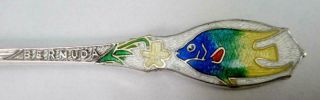 Small Size Sterling Silver Souvenir Spoon Enamel Blue Angel Fish Bermuda