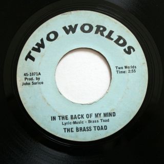 Brass Toad Garage Rock 45rpm In The Back Of My Mind B/w Easy To Be Hard Listen