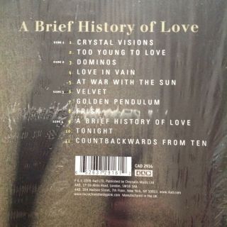 The Big Pink - A Brief History Of Love - 2 x Vinyl LP Album 4AD - CAD 2916 3