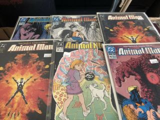 Animal Man (1988 Series) 1,  5,  8,  10,  33 - 50,  52 1,  2 DC comics 4