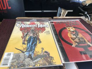 Animal Man (1988 Series) 1,  5,  8,  10,  33 - 50,  52 1,  2 DC comics 5