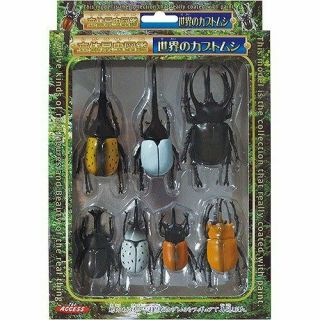 3d Insect Picture Book Beetle Of The World / Dynastes Hercules Megasoma