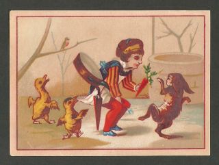 Victorian Trade Card - J M Hill Butter Dealer,  Rockford,  Illinois - Late 1800s F