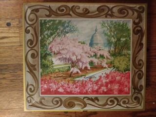 Vintage Sunshine Biscuit Hinged Tin Washington Dc Cherry Blossoms 12.  5 X 11 X 3 "