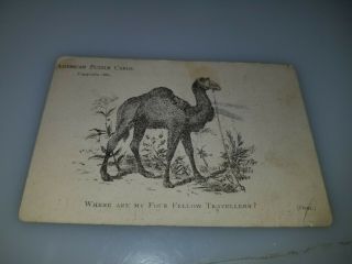 Antique Victorian Trade Card American Puzzle Cards 1880 Camel Putnam Clothiers