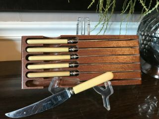 Set Of 6 Vintage Sheffield " Bakelite " Steak Knives In Case