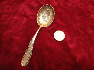 Vtg Antique Whiting Sterling Silver Spoon Jelly Nut Server 20g Signed Pierce