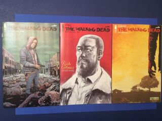 The Walking Dead 192 1st Print 192 2nd Print 193 1st Print Last Issue Nm 