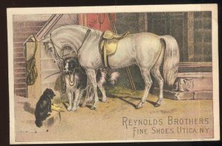 1880s Tc Advertising Reynolds Brothers Shoes At Finkle 
