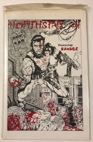 NORTHSTAR 1 SIGNED & NUMBERED Limited Edition 391/1000 Includes Poster 7