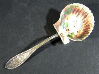 Antique Handpainted Shell Extra Coin Silver Plate Souvenir Spoon Somersworth Nh