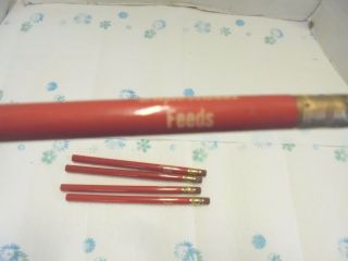 5 red larger wooden pencils supersweet feeds 5