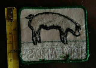 Vintage patch Poland China pigs 2