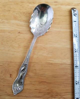 Ornate Antique K Silverplate Or Nickel Silver Floral Shell Sugar Spoon
