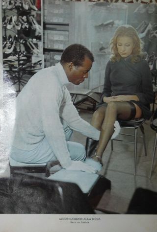 Collant Pantyhose Legs Bas - Scene Purchase Shoes Sexy - Year 1968 - Rtg