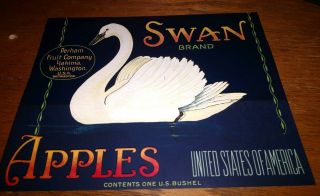 Swan Bird C1920 