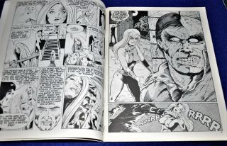 Paragon Illustrated 4,  1972,  William Black Editor,  Girl from L.  S.  D. ,  The Shade, 2