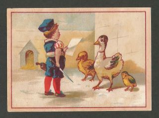 Victorian Trade Card - J M Hill Butter Dealer,  Rockford,  Illinois - Late 1800s B