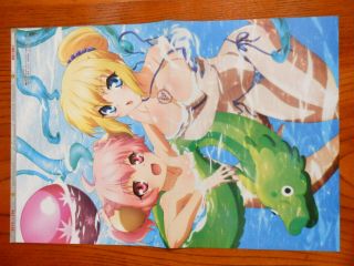 Pd - 294 Dragonar Academy / If Her Flag Breaks :2 - Sided Poster Anime Manga Japan