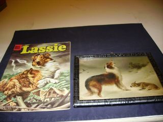 30 Lassie Comic & Picture (extremely Rare) 1956