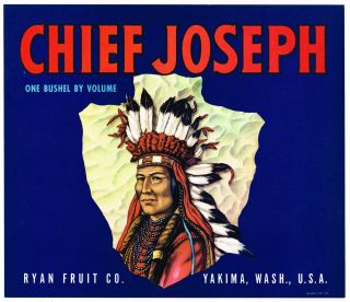 Apple Crate Label Vintage American Indian Chief Joseph Yakima Arrowhead