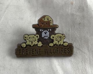 Smokey The Bear Prevent Wildfires Pin Button