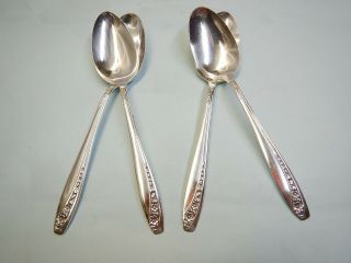 4 Starlight Oval Soup/dessert Spoons - Elegant 1953 Rogers Finest