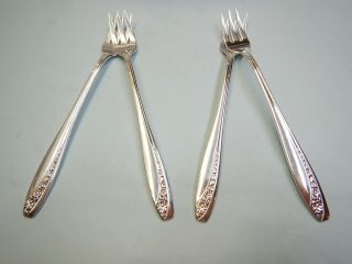 4 Starlight Seafood Cocktail Forks - Elegant 1953 Rogers Finest