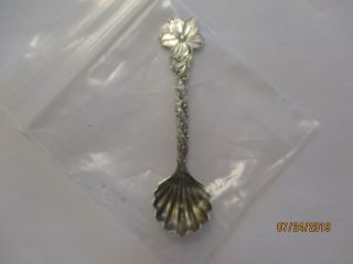 Flower Shell Design Sterling Silver Salt Spoon