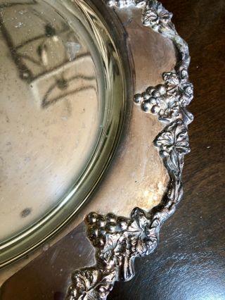 Vintage 9” Silver Plate Serving Tray Grapevine Border 2