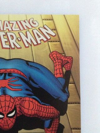THE SPIDER - MAN 800 COLOR 1:500 DITKO REMASTERED VARIANT EDITION 3