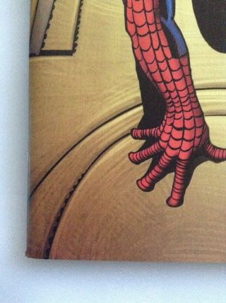 THE SPIDER - MAN 800 COLOR 1:500 DITKO REMASTERED VARIANT EDITION 4