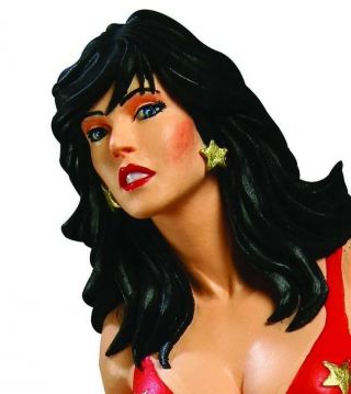 Dc Direct Woman Of The Dc Universe Donna Troy Mini - Bust 595/6000