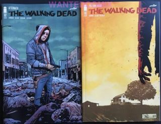 Walking Dead 192 & 193 Death Of Rick Last Issue Both First Prints End Of An Era