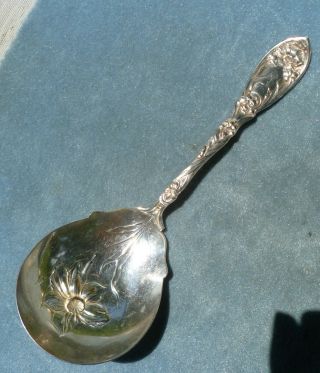 1908 Narcissus Berry Serving Spoon 8 - 3/4 " Oxford Silverplate Co