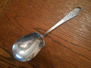 National Silver Co 1937 Rose & Leaf Pattern Berry Or Casserole Serving Spoon 797
