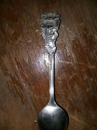 Ssmc sterling spoon Denver 3