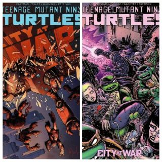 Teenage Mutant Ninja Turtles 95 (2019) Covers A,  B We Combine