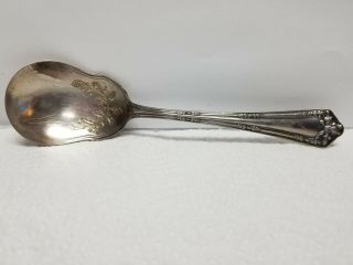 Vintage Wm Rogers & Son Aa Silverplated Sugar Spoon,  Fair Oak/oak Pattern,  1913