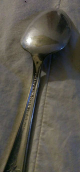 2 Vintage National Silver Co.  AA Plus Rose Design Spoons 5