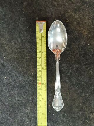 Gorham Chantilly Spoon Sterling Silver 1895 19.  5g 5 3/4 
