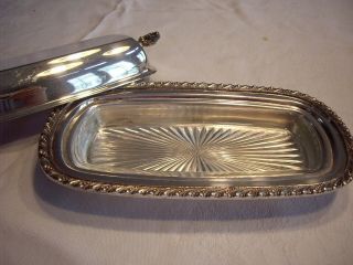 HARTFORD STERLING CO SILVER PLATE COVERED BUTTER DISH – W/ GLASS PLATE 3