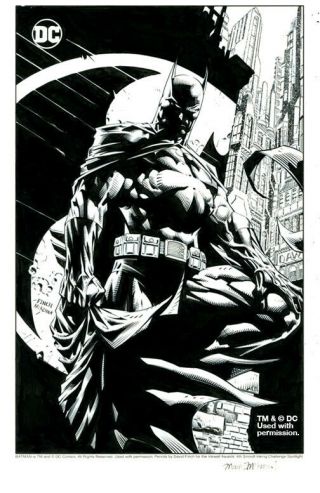 Batman Art Signed David Finch & Mark Mckenna W/ 
