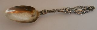 Sterling Silver Whiting Gorham Lily Teaspoon 1902
