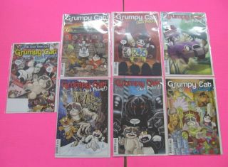 Grumpy Cat And Pokey 1,  2,  3,  4,  5,  6 & Fcbd Comic Complete Story Dynamite 2016