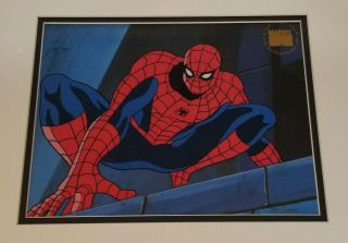 Marvel: Spiderman Limited Edition Seri Cel 291/1000 Framed