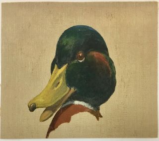 Francis Lee Jaques Listed Rare Oil On Canvas Male Mallard Duck Art Nr