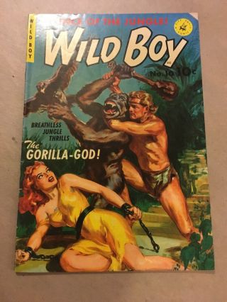Wild Boy 1 Ziff Davis Bondage Cover