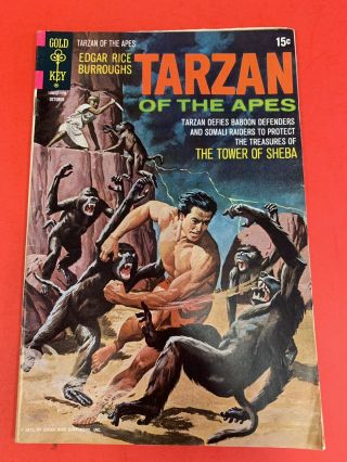 Tarzan 204 (1971) Double Cover - Gold Key Comic Book - Painted Cover